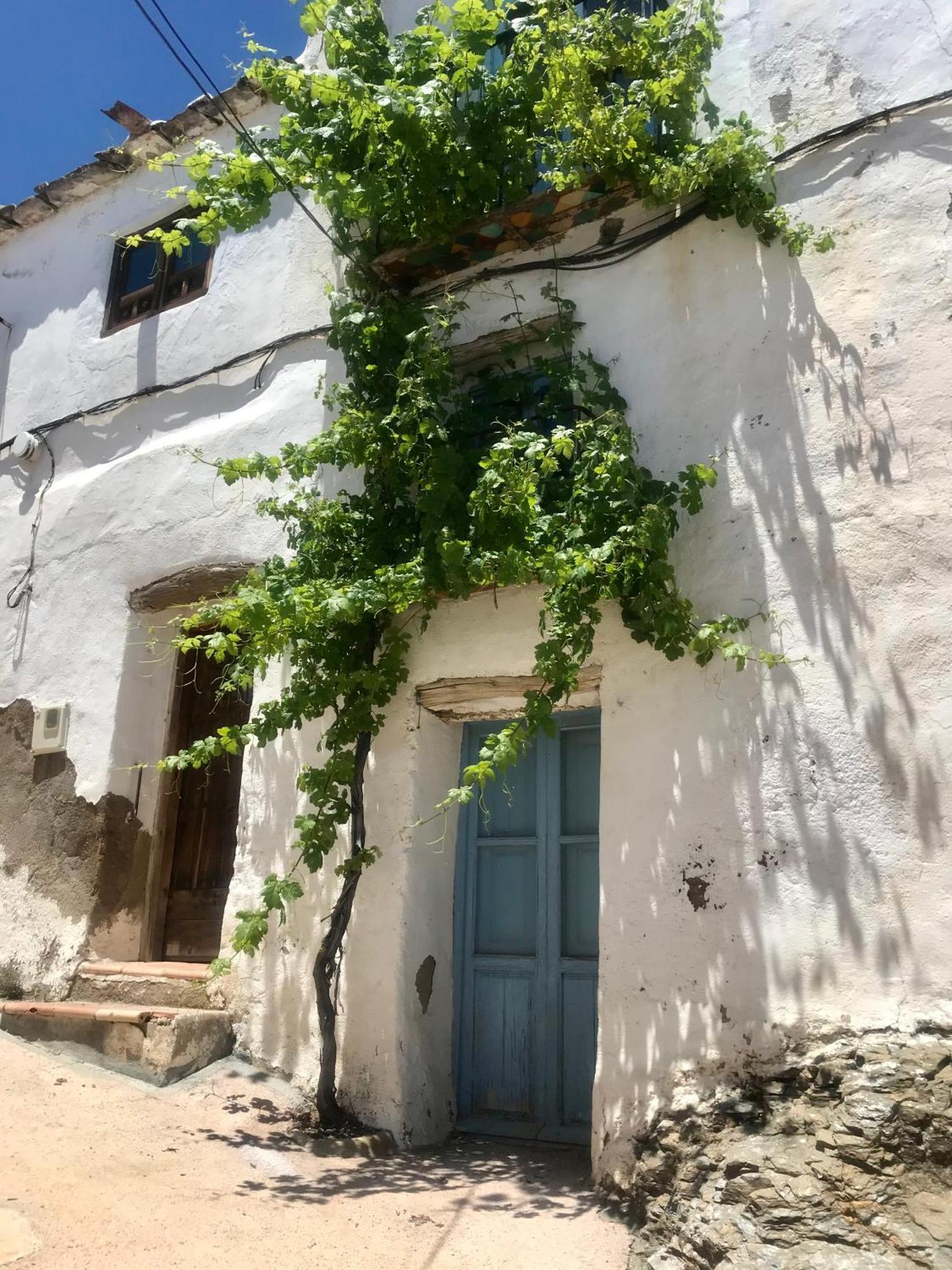 Casa Amigos Sorvilan- La Palmera Exterior foto