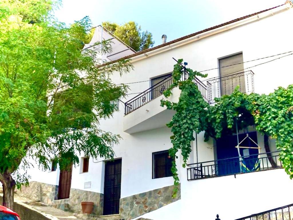 Casa Amigos Sorvilan- La Palmera Exterior foto